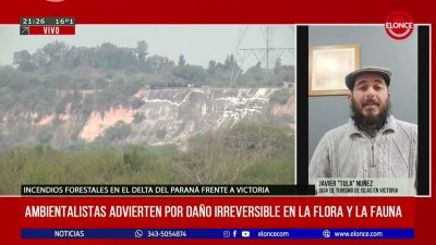 Tras los incendios en el delta, ambientalistas advierten por da&ntilde;o irreversible en la flora y fauna